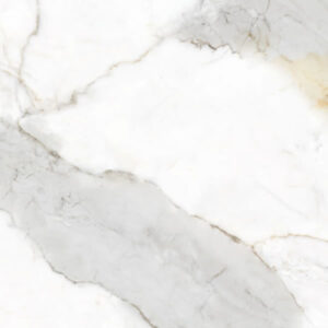 Palladino 64x64 Polido
